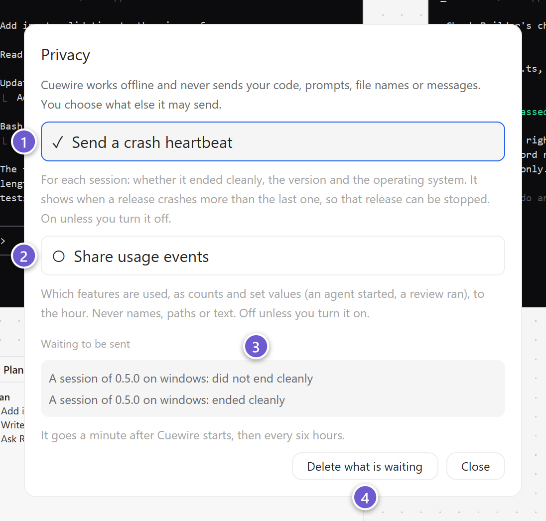 The Privacy sheet with its two switches and the list of items waiting to be sent