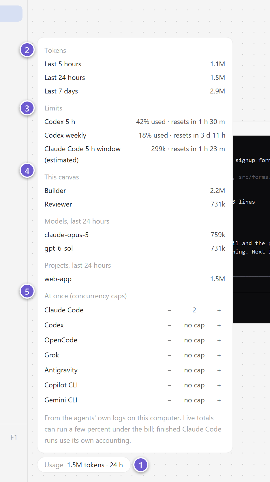 The usage panel open above the usage chip